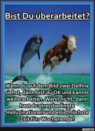 Besten Bilder Videos Und Spruche Und Es Kommen Taglich Neue Lustige Facebook Bilder Auf Debest Freitag Spruche Lustig Schones Wochenende Spruche Lustig Lustig