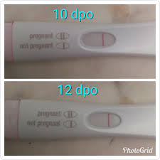 The average cycle length is 28 days, but can range anywhere from 20 to 45 days. 10 Days Dpo Pregnancy Test Pregnancy Symptoms