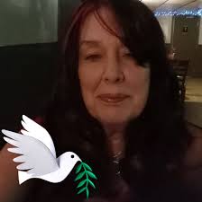 Beaded dream catcher earrings