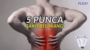 Sakit tulang belakang bawah bisa sangat mengganggu. Flexy Healthcare 5 Punca Sakit Belakang Facebook