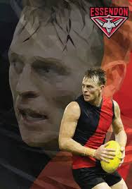 Brendon Goddard Essendon Football Club Afl By Ross Mcrae Design Afl Essendon Football Club Afl Premiership