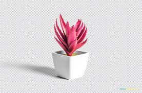 Free Plant Pot Mockup Zippypixels In 2020 Plant Pot Design Free Plants Small Potted Plants