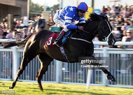 797 Darryl Holland Photos & High Res Pictures