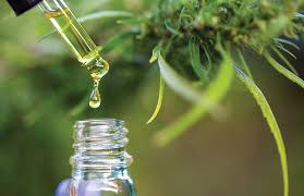 Beyond The Smoke Cannabis Under The Tongue Crx Magazine Spring 2020