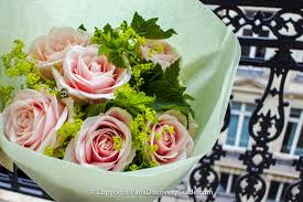 Check spelling or type a new query. Mother S Day In Paris 2021 Special Things To Do Paris Discovery Guide