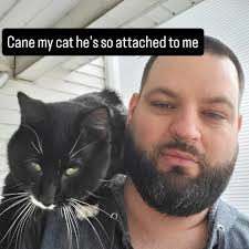 Lost cat in East Forest Park area