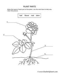 Free Printables For Kids Worksheets For Kids Parts Of A Plant Kids Worksheets Printables
