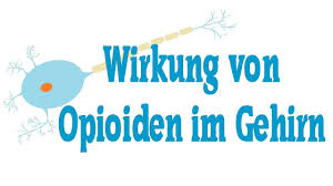 Wie Wirken Opioide Im Gehirn Morphin Heroin Buprenorphin Youtube