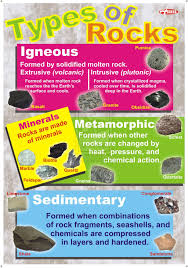 Guidance On Essay Writing Department Of Biochemistry Types