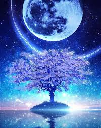 Edit foto keren cara edit foto langit galaxy dg picsart from www.youtube.com. Cover Mentahan Langit Malam Wattpad