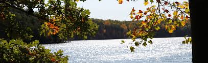 Image result for picnic pavilion at smith mountain lake