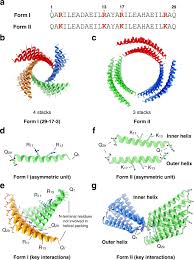 Henan flood 2021 / ix6vxlkguvnwtm. Structural Analysis Of Cross A Helical Nanotubes Provides Insight Into The Designability Of Filamentous Peptide Nanomaterials Nature Communications