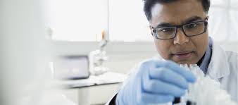 Excelsior University