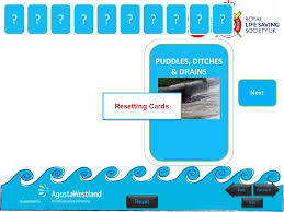 Observe water safety for pet the same as a child. Rlss Water Safety Workshop Ppt Download