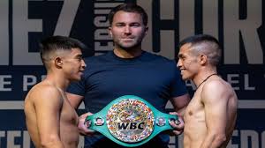 Василий ломаченко vs масаеши накатани жанибек алимханулы vs роб брант гвидо вианелло vs марлон уильямс E2r042avlpyqzm