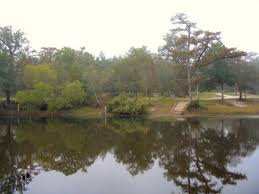 Ogeechee River near Eden