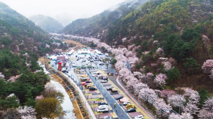 화순적벽문화축제 Photo 3