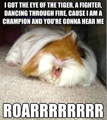 [Image: images?q=tbn:ANd9GcRfnjrcwQ2-bdYg3etPumd...g7mohOZzda]