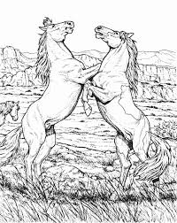 Pin By Kara On Coloring Pages Horse Coloring Pages Animal Coloring Pages Horse Coloring