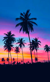Summer Sunset Photography Sunset Beach Beautiful Ocean Tropical Travel Palm Trees Vacation Other Photos Sunset Photography Summer Sunset Sunset Pictures