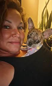 Adorable Chihuahua with unique ears