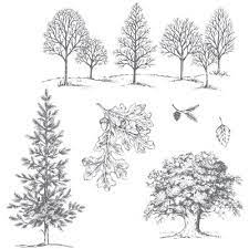 Complete guide to inks for stamping | card making for beginners. Lovely As A Tree Clear Mount Stamp Set Stampin Up Tree Stamp Stampin Up Cards Stamp Set