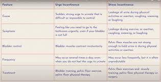 Image result for Stress Incontinence