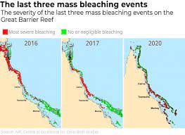 We are australia's lead management agency for the #greatbarrierreef. Die Zukunft Von Great Barrier Reef Sieht Duster Aus It S Happening Again Mass Coral Bleaching Netzfrauen Netzfrauen
