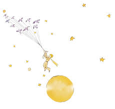 Image result for le petit prince