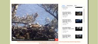 Live streaming webcams in south korea. Watch Maine Bald Eagles Raise Family On Live Webcam