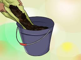 However, in our practice, you and i do not have to reproduce all soil mixtures for these. How To Mix Your Own Cactus And Succulent Soil 4 Steps