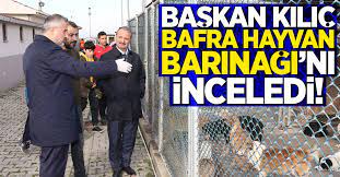baskan kilic bafra hayvan barinagi ni inceledi