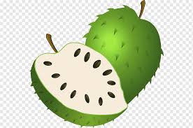 Mango clipart buah buahan green apple clipart png download full size clipart 896 pinclipart. Corossol Png Free Corossol Png Transparent Images 132676 Pngio