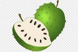 Download now halaman mewarnai gambar buah apel pola 44 warna apel. Corossol Png Free Corossol Png Transparent Images 132676 Pngio