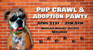 Contact our san diego dog rehoming team today. Arwob Upcoming Events