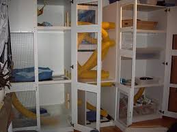 Cube Cages The Holistic Ferret Forum Cage Furet Furet Balou