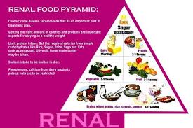 Image Result For Food Pyramid For Kidney Transplant 2016 Renal Diet Recipes Dialysis Diet Renal Diet