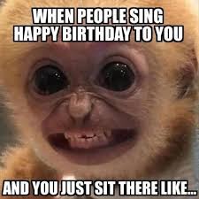 Check spelling or type a new query. Dozens Of Hilarious Birthday Memes With Animals I Can Has Cheezburger