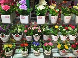 Wholesale potted flowers near me. Cheap Potted Flowers Wholesale Yiwu China