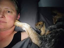 Who lets their dog sleep in the bed with them?” My spoiled heeler: