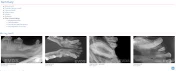 E Vds Plus Dental Charting System 3 Year Subscription