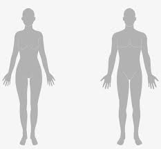 We did not find results for: Chin Human Body Silhouette Png Free Transparent Png Download Pngkey