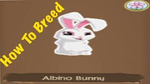 Sunlight requirements to make the bunny cactus happy. How To Breed The Albino Bunny In Tunnel Town Youtube