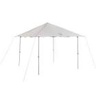 Eaved Canopy, 10-ft x 10-ft Coleman
