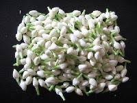 Check out our fresh jasmine selection for the very best in unique or custom, handmade pieces from our plants shops. Jasmine Flower Manufacturers Jasmine Flower Suppliers Exporters Wholesalers In India