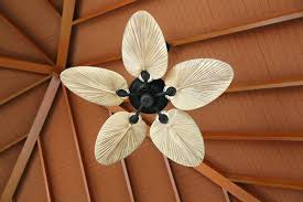 You will want to remove them from the fan and then remove all hardware from them. How To Paint Fan Blades Ceiling Stand Fans Homenish