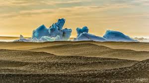 Easy, quick returns and secure payment! On The Walrus Island Svalbard Jan Mayen Islands