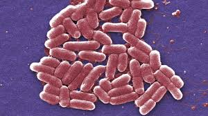 Sepsis (also known as 'septicaemia' or 'blood poisoning') is a serious blood infection caused by bacteria. Sepsis Jeder Funfte Todesfall Weltweit Geht Auf Das Konto Des Stillen Killers Stern De