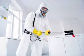Professional Homicide Cleanup: An Essential Guide to Trauma Scene Cleaning - Crime Scene Cleaning