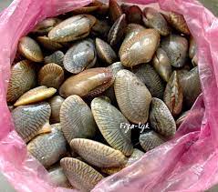 000;pyrs;retakseribu retak seribu version 001. Lala Atau Siput Retak Seribu Hanya Rm12 Sahaja 1pek Sekilogram Banyak Minimum 2 Pek Atau Digabungkan Bersekali Dgn Mana2 Jenis Siput Yg Lain Untuk Order Hubungi Telur Sotong Seri Kembangan Puchong